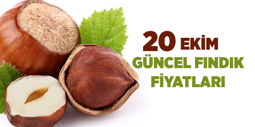 20 Ekim güncel fındık fiyatları