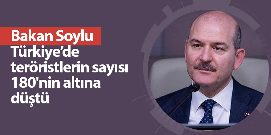 Bakan Soylu Türkiye’de teröristlerin sayısı 180'nin altına düştü