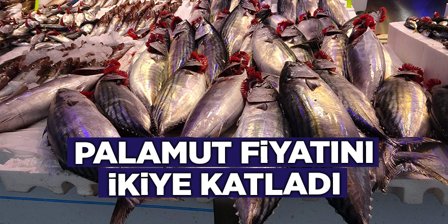 Palamut fiyatını ikiye katladı