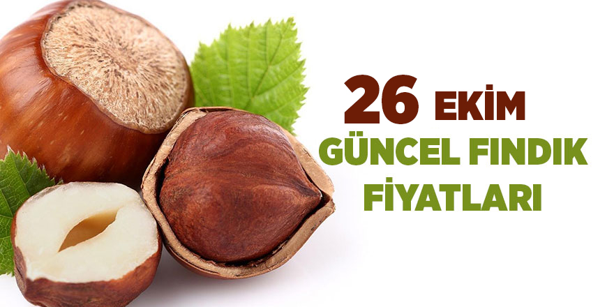 26 Ekim güncel fındık fiyatları