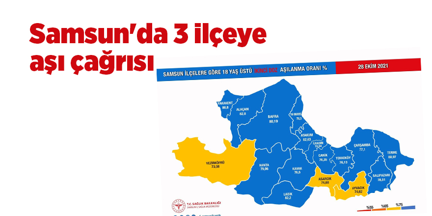 Samsun'da 3 ilçeye aşı çağrısı - samsun haber