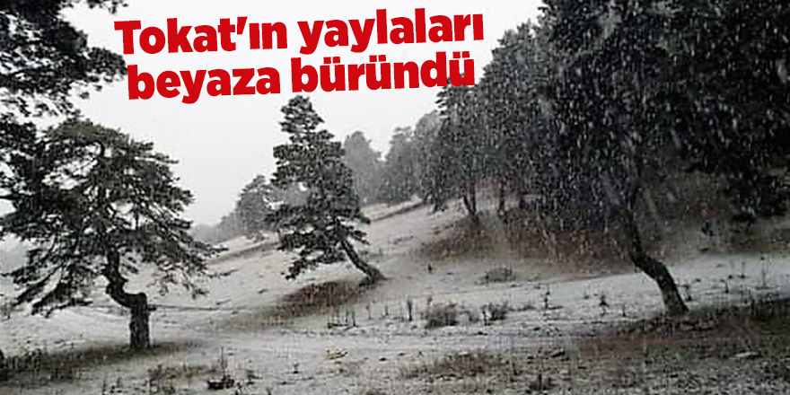 Tokat'ın yaylaları beyaza büründü