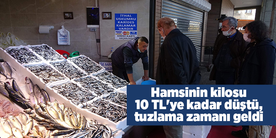 Hamsinin kilosu 10 TL'ye kadar düştü, tuzlama zamanı geldi