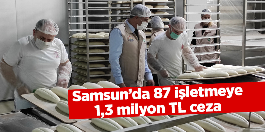 Samsun’da 87 işletmeye 1,3 milyon TL ceza - samsun haber