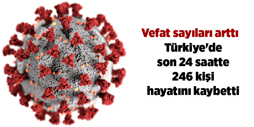 Korona virüsten son 24 saatte 246 kişi vefat etti