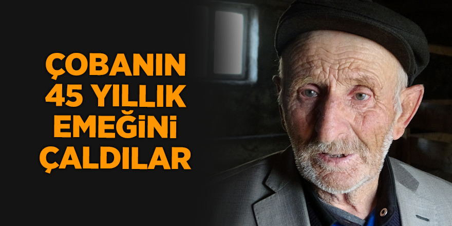 Çobanın 45 yıllık emeğini çaldılar