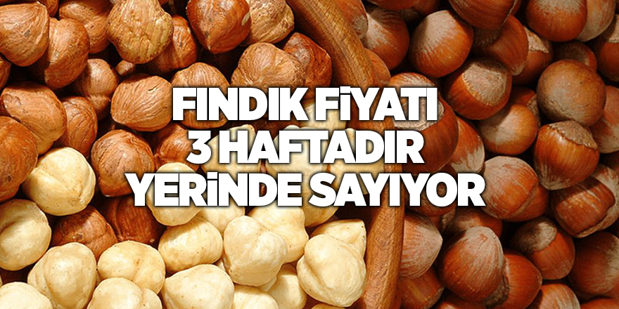 Fındık fiyatı 3 haftadır yerinde sayıyor