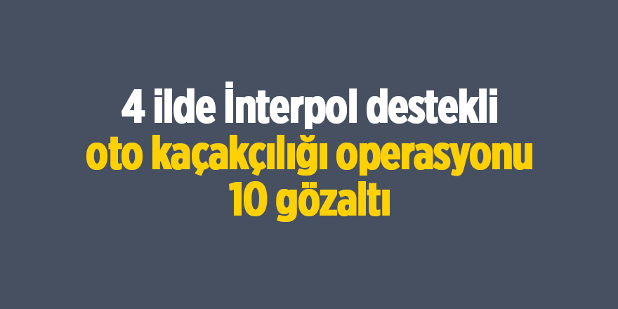 4 ilde İnterpol destekli oto kaçakçılığı operasyonu 10 gözaltı