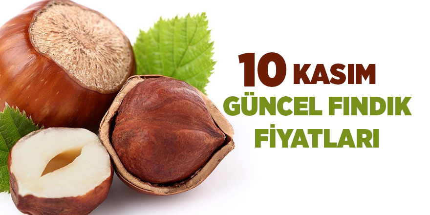 10 Kasım güncel fındık fiyatları