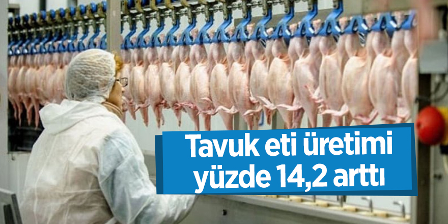 Tavuk eti üretimi yüzde 14,2 arttı