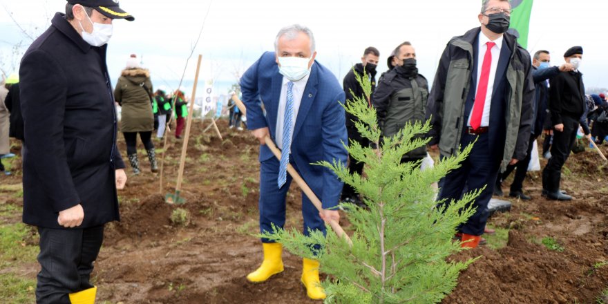 Samsun’da binlerce fidan toprakla buluştu - samsun haber