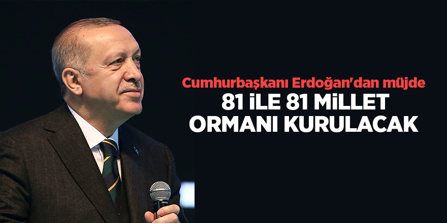 Cumhurbaşkanı Erdoğan'dan müjde  81 ile 81 millet ormanı kurulacak