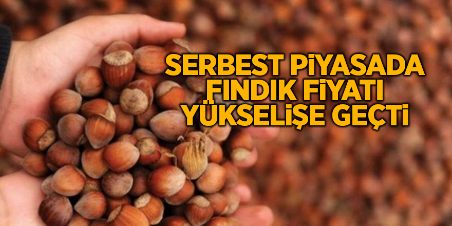 Serbest piyasada fındık fiyatı yükselişe geçti