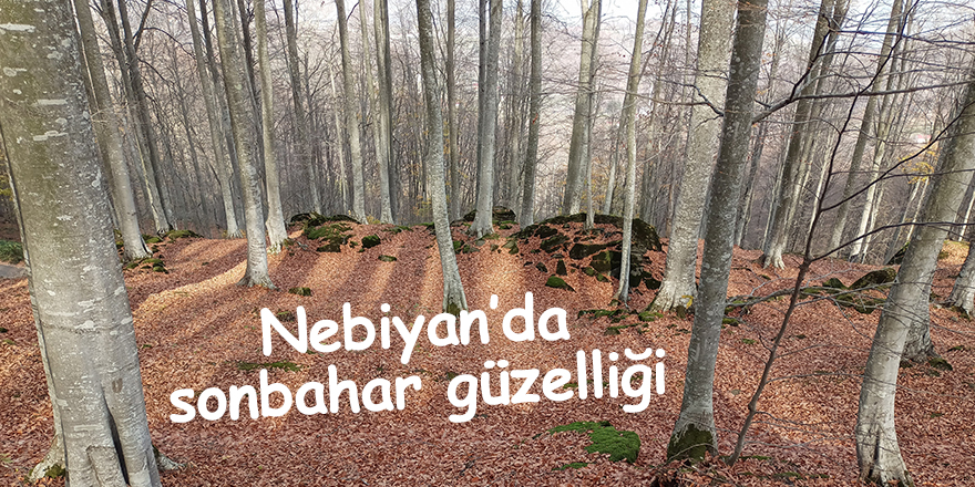 Nebiyan’da sonbahar güzelliği