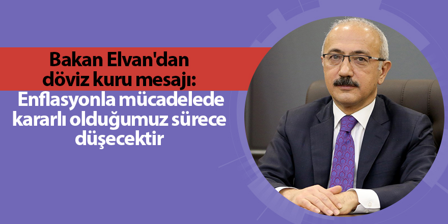 Bakan Elvan'dan döviz kuru mesajı:  Enflasyonla mücadelede kararlı olduğumuz sürece düşecektir