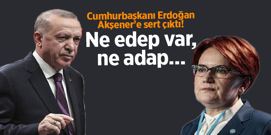 Cumhurbaşkanı Erdoğan Akşener'e sert çıktı! Ne edep var, ne adap...