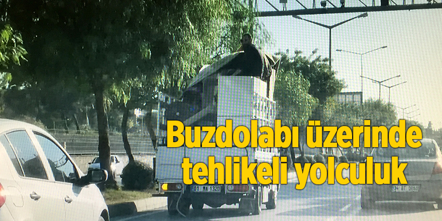 Buzdolabı üzerinde tehlikeli yolculuk