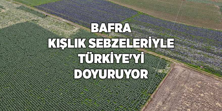 Bafra kışlık sebzeleriyle Türkiye'yi doyuruyor - samsun haber