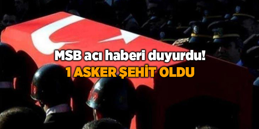 MSB acı haberi duyurdu! 1 asker şehit oldu