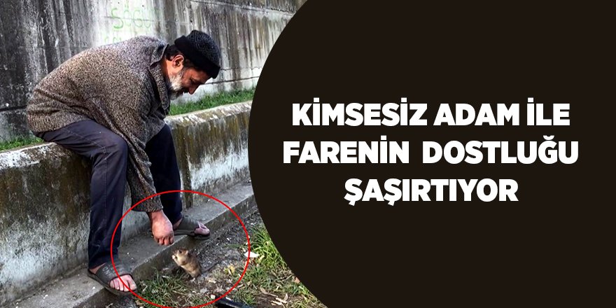 Kimsesiz adam ile farenin  dostluğu şaşırtıyor - samsun haber