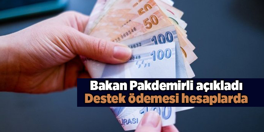 Bakan Pakdemirli açıkladı! Destek ödemesi hesaplarda