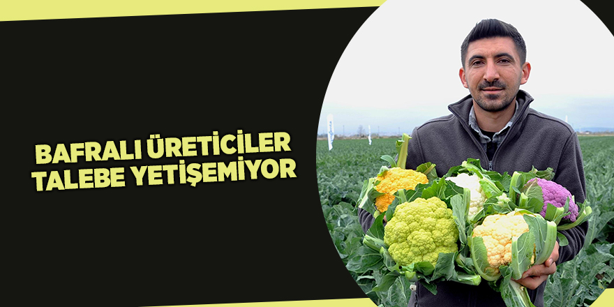 Bafralı üreticiler talebe yetişemiyor - samsun haber