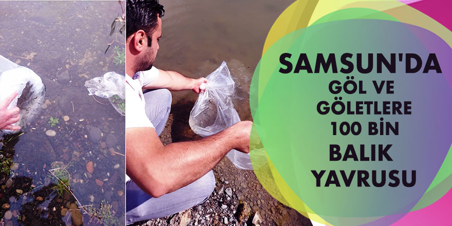 Samsun'da göl ve göletlere 100 bin balık yavrusu