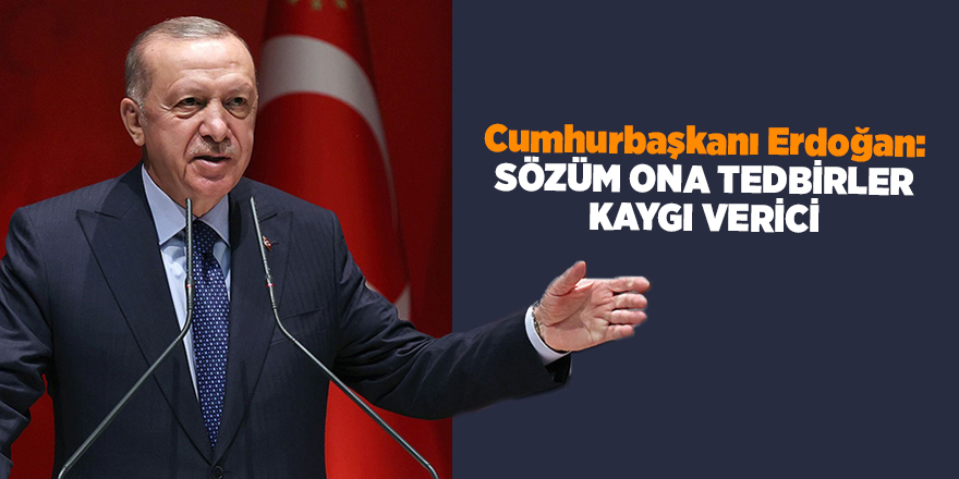 Cumhurbaşkanı Erdoğan: Sözüm ona tedbirler kaygı verici