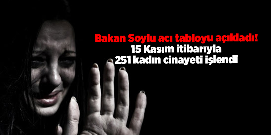 Bakan Soylu acı tabloyu açıkladı! 15 Kasım itibarıyla 251 kadın cinayeti işlendi