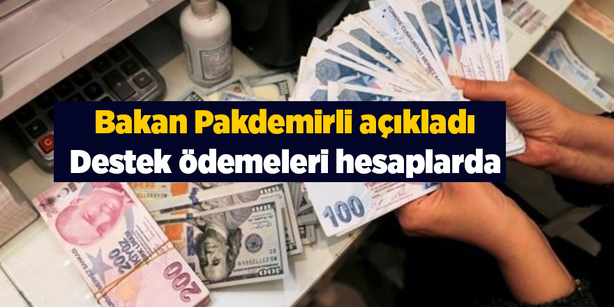 Bakan Pakdemirli açıkladı Destek ödemeleri hesaplarda