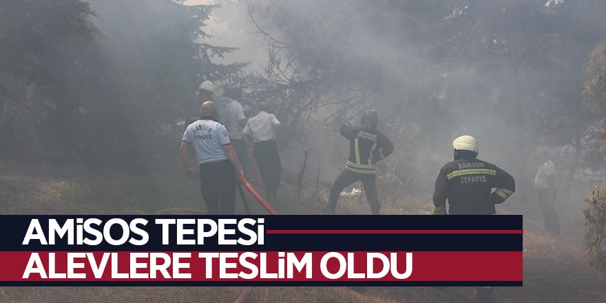 Amisos Tepesi alevlere teslim oldu