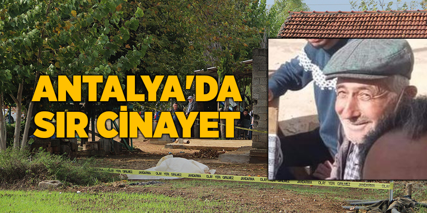 Antalya'da sır cinayet