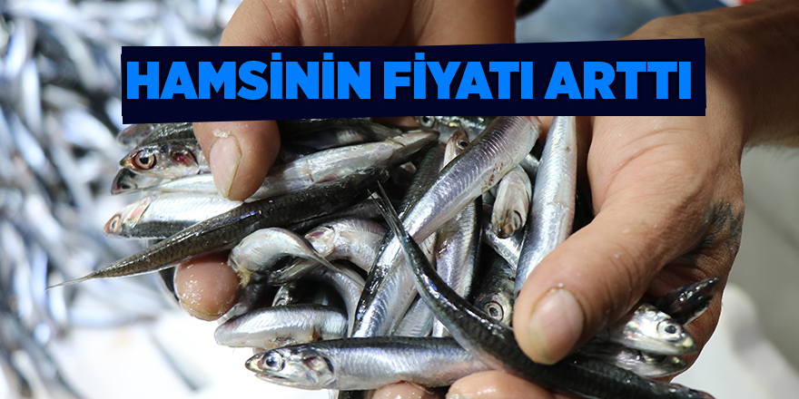 Hamsinin fiyatı arttı 