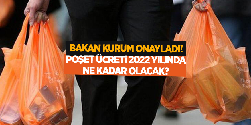 Bakan Kurum onayladı! Poşet ücreti 2022 yılında ne kadar olacak?