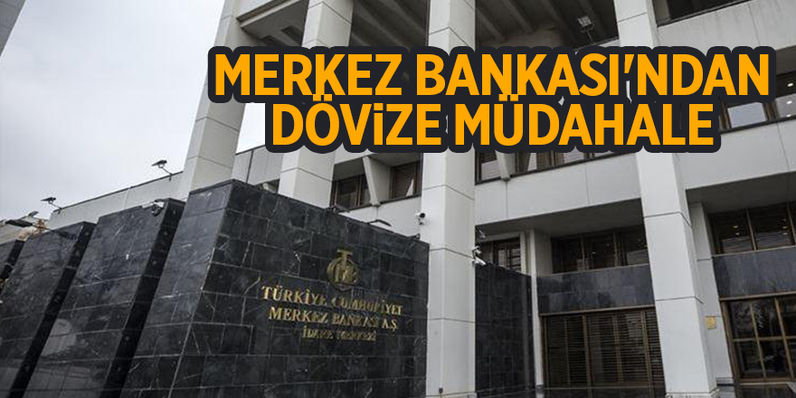 Merkez Bankası'ndan dövize müdahale