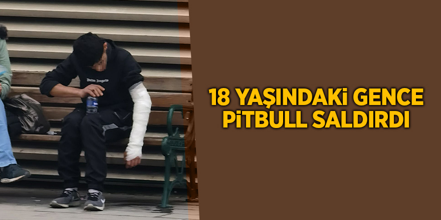 18 yaşındaki gence pitbull saldırdı