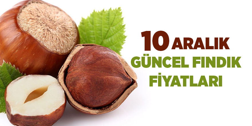 10 Aralık güncel fındık fiyatları