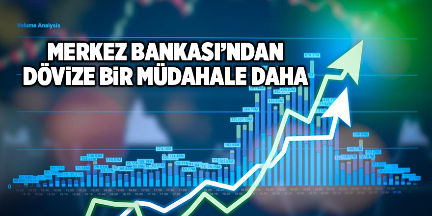 Merkez Bankası’ndan dövize bir müdahale daha