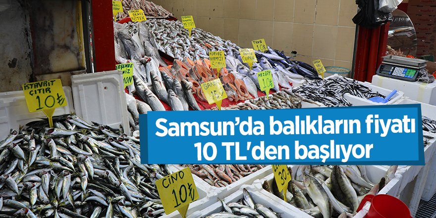 Samsun’da balıkların fiyatı 10 TL'den başlıyor - samsun haber