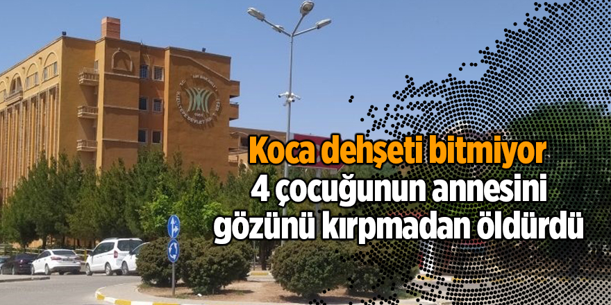 Koca dehşeti bitmiyor 