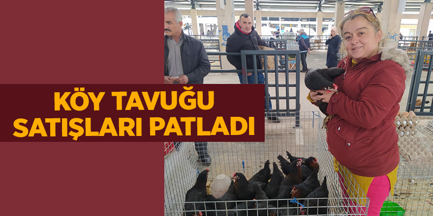 Köy tavuğu satışları patladı