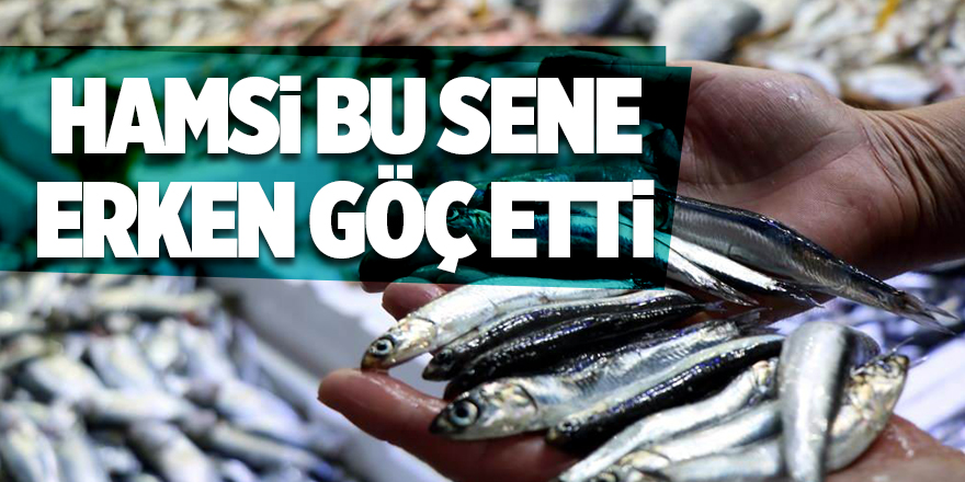 Hamsi bu sene erken göç etti