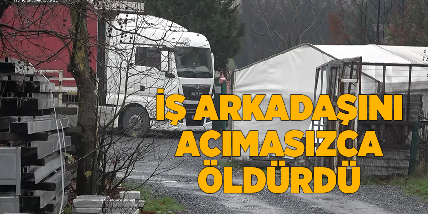 İş arkadaşını acımasızca öldürdü