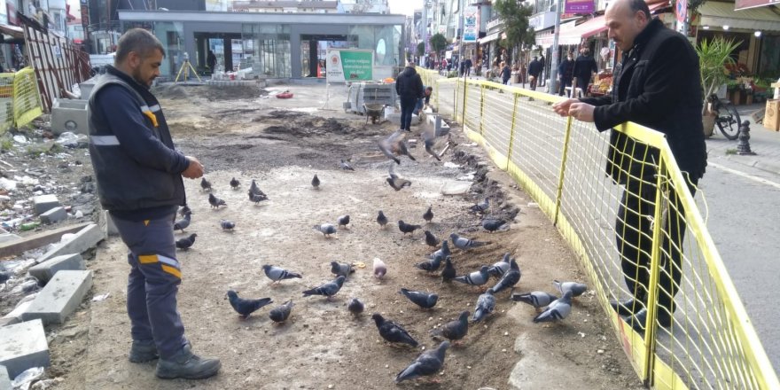 Subaşı’nın güvercinleri Hamidiye Çeşmesi’ni güzelleştirecek - samsun haber