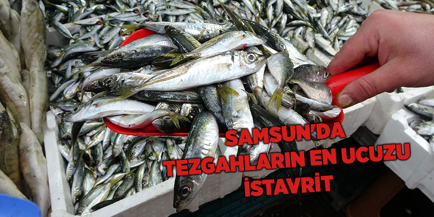 Samsun'da tezgahların en ucuzu istavrit - samsun haber