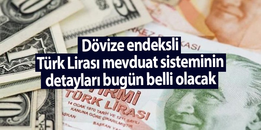 Dövize endeksli Türk Lirası mevduat sisteminin detayları bugün belli olacak