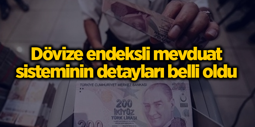 Dövize endeksli mevduat sisteminin detayları belli oldu