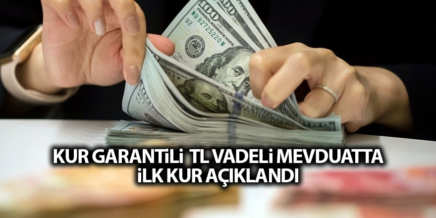 Kur garantili TL vadeli mevduatta ilk kur açıklandı