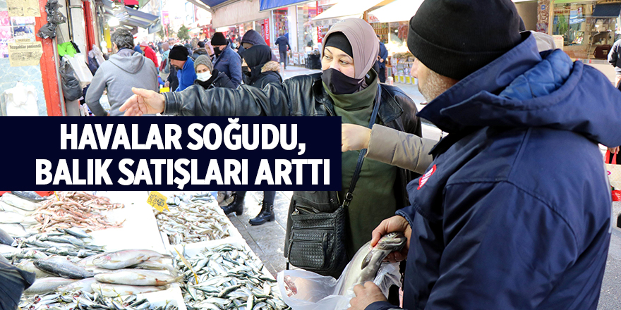 Havalar soğudu, balık satışları arttı