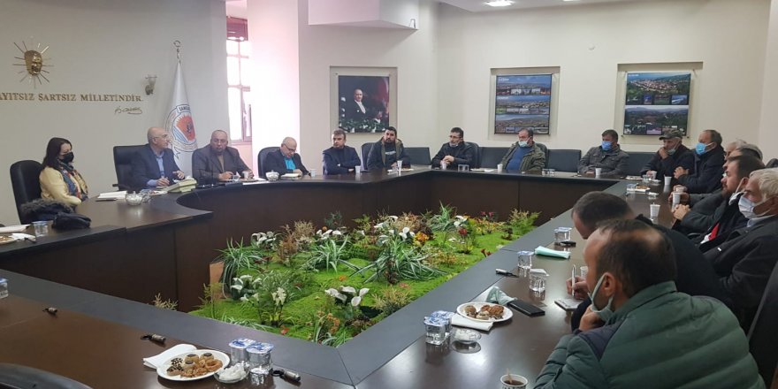 Samsun'da arı ölümleri masaya yatırıldı - samsun haber